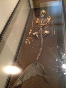 Squelette de sirène, Musée National Copenhague, 2012 (Wikimedia Commons)
